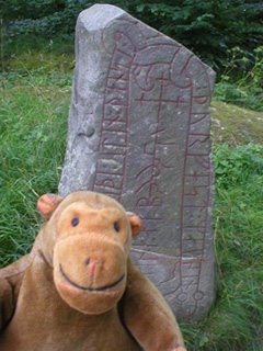 Mr Monkey studying a Viking rune stone