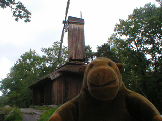 Mr Monkey in front of a windmill