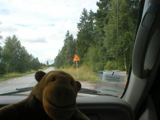 Mr Monkey approaching a Beware of the Deer sign on a country road