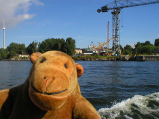 Mr Monkey looking at some cranes on Beckholmen