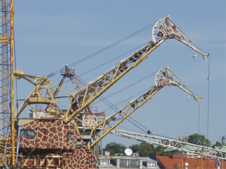 Swedish cranes decorated as giraffes