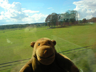 Mr Monkey looking at the countryside from the Arlanda Express