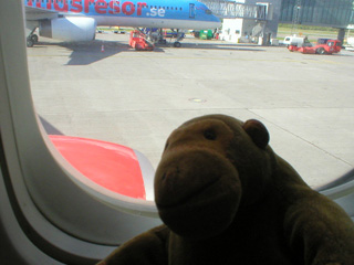 Mr Monkey looking out of his plane window