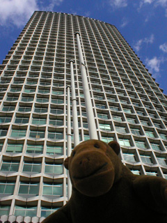 Mr Monkey looking up at Centre Point tower