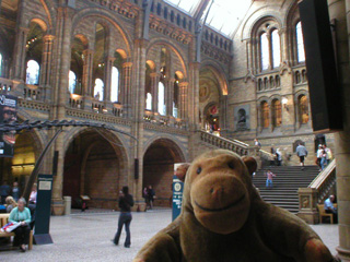 Mr Monkey in the Central Hall of the Natural History Museum