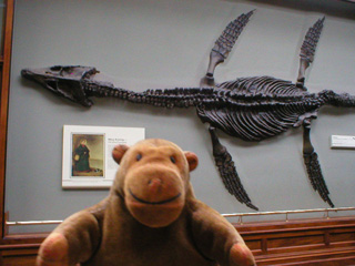 Mr Monkey in front of a fossilised ichthyosaur
