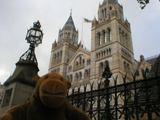 Mr Monkey looking up at the Natural History Museum