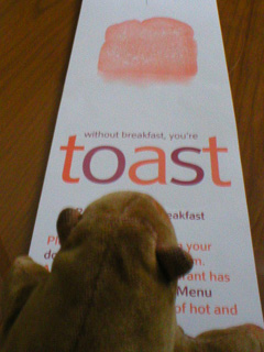 Mr Monkey reading a breakfast brochure