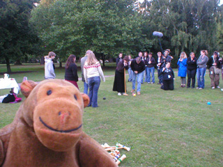 Mr Monkey watching a game of croquet start