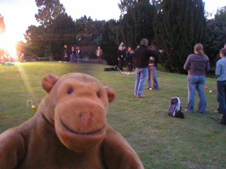 Mr Monkey watching croquet at dusk