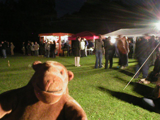Mr Monkey watching croquet in the dark