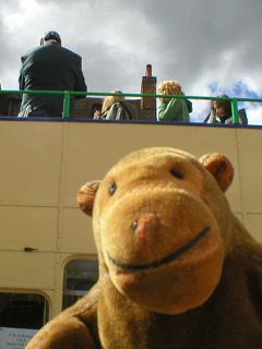 Mr Monkey looking up at the tour bus