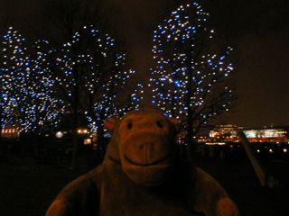 Mr Monkey examining trees covered in blue lights