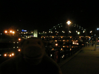 Mr Monkey looking along the Newcastle Quayside