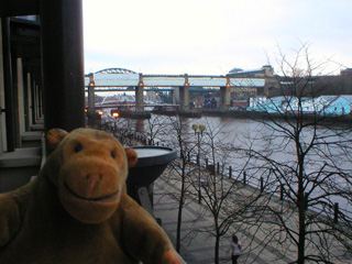 Mr Monkey looking at the Tyne bridges from his hotel room