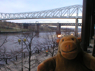 Mr Monkey looking at xxxx bridge from his hotel room