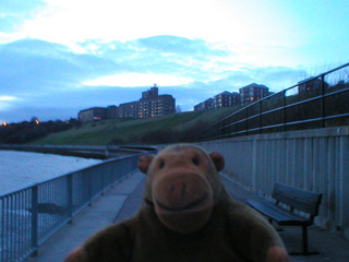 Mr Monkey looking at the Knott Memorial flats