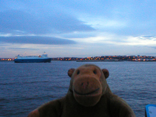 Mr Monkey watching a ferry sail into Newcastle