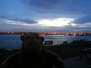 Mr Monkey looking up the Tyne at night