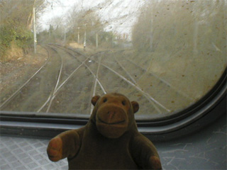 Mr Monkey looking out of the front of a Metro train