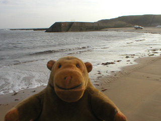 Mr Monkey across the beach at Cullercoats