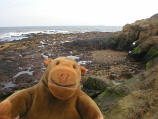 Mr Monkey clambering over rocks near the harbour wall