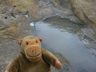 Mr Monkey looking into a small rock pool