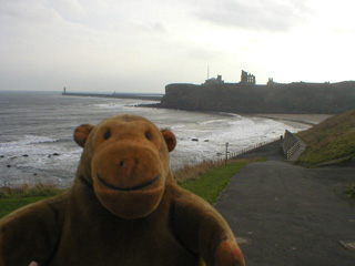 Mr Monkey walking away from the ferry