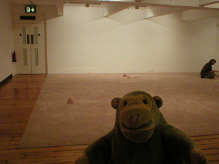 Mr Monkey looking at Tonicos Lemos Auad's carpet