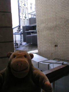 Mr Monkey looking at the heating ducts outside his window