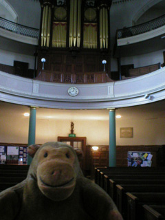 Mr Monkey looking up at the organ of St. James