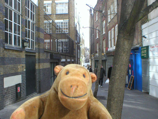 Mr Monkey looking down Jerusalem Passage