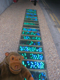 Mr Monkey looking at artistic lights in the pavement beneath London Bridge