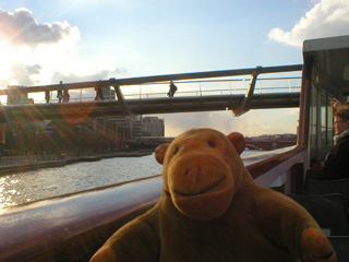 Mr Monkey passing under the Millennium bridge on a boat