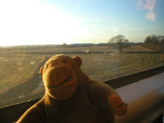 Mr Monkey looking out of a train window