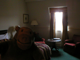 Mr Monkey in his hotel room