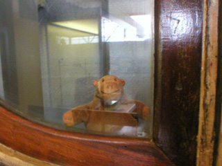 A close up of Mr Monkey looking out of a first class railway carriage