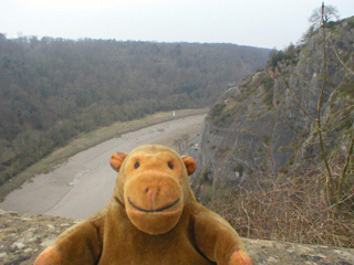 Mr Monkey looking along the Avon Gorge
