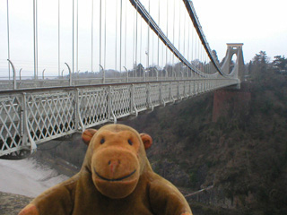Mr Monkey looking across the Avon Gorge