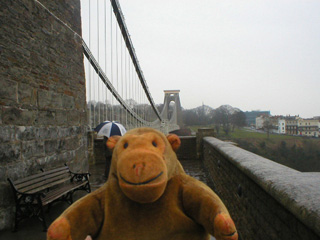 Mr Monkey looking towards Clifton