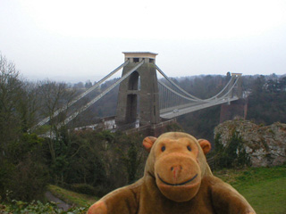 Mr Monkey looking the bridge from Observatory Hill