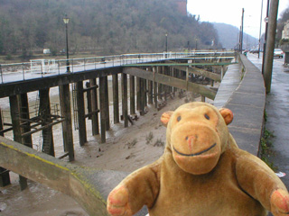 Mr Monkey looking at abandoned jetties along the Avon