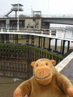 Mr Monkey looking at the Howard Lock and the Plimsoll Bridge