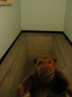 Mr Monkey examining a plunge bath in the basement