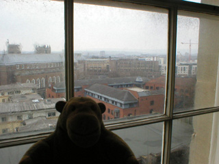 Mr Monkey looking out of a rear window