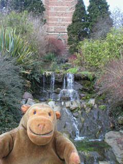 Mr Monkey looking at a stream running down from the tower