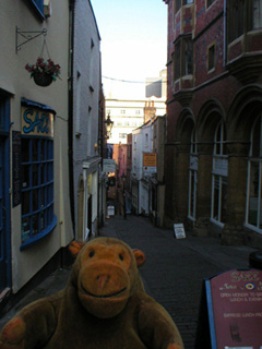 Mr Monkey looking down Christmas Steps