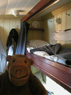 Mr Monkey looking at a passenger cabin