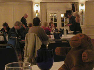 Mr Monkey watching the judges work out who won the quiz