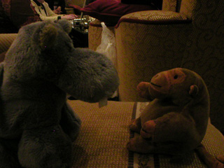 Mr Monkey meeting a small hippopotamus